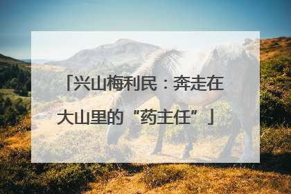 兴山梅利民：奔走在大山里的“药主任”