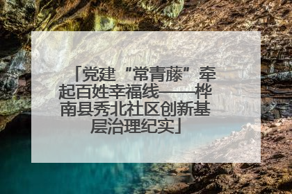 党建“常青藤”牵起百姓幸福线——桦南县秀北社区创新基层治理纪实