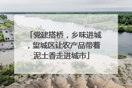 党建搭桥，乡味进城，望城区让农产品带着泥土香走进城市