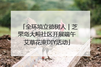 全环境立德树人｜芝罘岛大疃社区开展端午艾草花束DIY活动