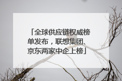 全球供应链权威榜单发布，联想集团、京东两家中企上榜