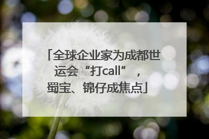 全球企业家为成都世运会“打call”，蜀宝、锦仔成焦点
