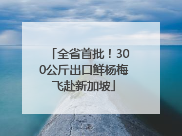 全省首批！300公斤出口鲜杨梅飞赴新加坡
