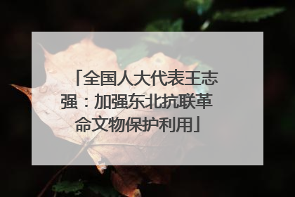 全国人大代表王志强：加强东北抗联革命文物保护利用