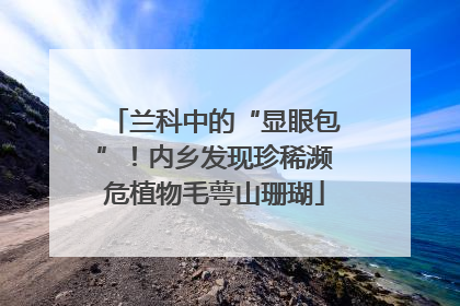 兰科中的“显眼包”！内乡发现珍稀濒危植物毛萼山珊瑚