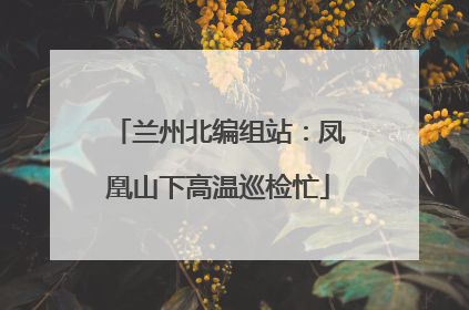 兰州北编组站：凤凰山下高温巡检忙