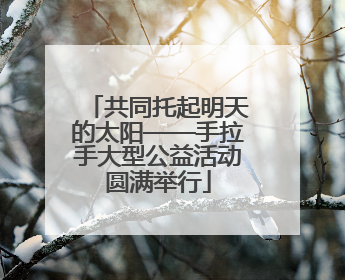 共同托起明天的太阳——手拉手大型公益活动圆满举行