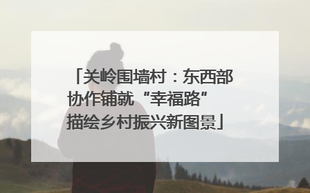 关岭围墙村：东西部协作铺就“幸福路” 描绘乡村振兴新图景