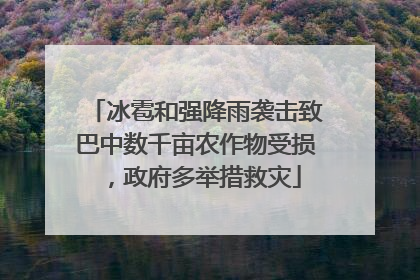 冰雹和强降雨袭击致巴中数千亩农作物受损，政府多举措救灾