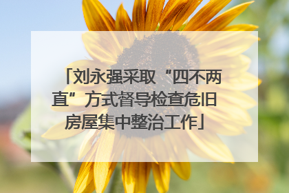 刘永强采取“四不两直”方式督导检查危旧房屋集中整治工作