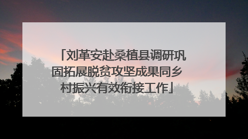 刘革安赴桑植县调研巩固拓展脱贫攻坚成果同乡村振兴有效衔接工作