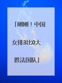 刚刚！中国女排3比0大胜法国队