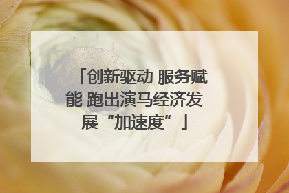 创新驱动 服务赋能 跑出演马经济发展“加速度”