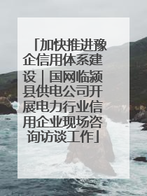 加快推进豫企信用体系建设｜国网临颍县供电公司开展电力行业信用企业现场咨询访谈工作