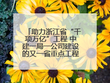 助力浙江省“千项万亿”工程 中建一局一公司建设的又一省重点工程竣工交付