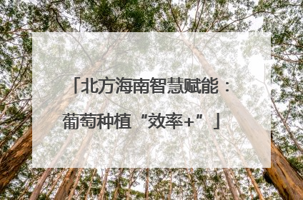 北方海南智慧赋能：葡萄种植“效率+”