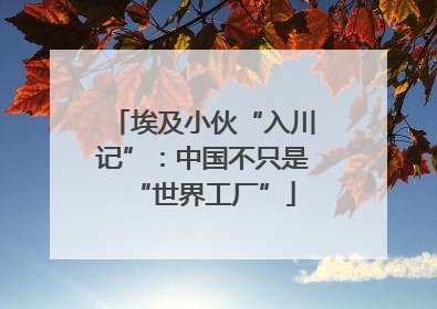 埃及小伙“入川记”：中国不只是“世界工厂”