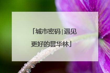 城市密码∣遇见更好的昙华林