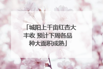城阳上千亩红杏大丰收 预计下周各品种大面积成熟