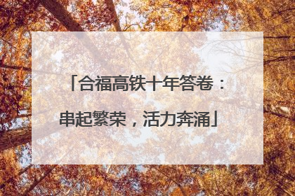 合福高铁十年答卷：串起繁荣，活力奔涌