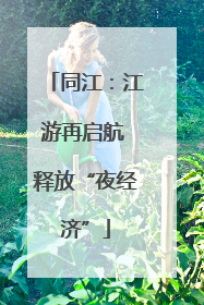 同江：江游再启航 释放“夜经济”
