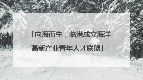 向海而生，临港成立海洋高新产业青年人才联盟