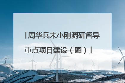 周华兵未小刚调研督导重点项目建设（图）