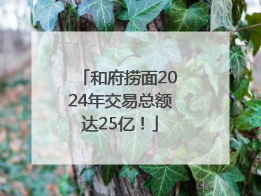 和府捞面2024年交易总额达25亿！