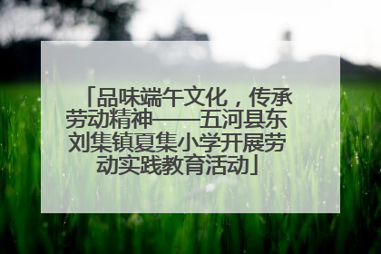 品味端午文化，传承劳动精神——五河县东刘集镇夏集小学开展劳动实践教育活动