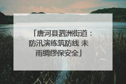 唐河县泗洲街道：防汛演练筑防线 未雨绸缪保安全
