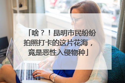 啥？！昆明市民纷纷拍照打卡的这片花海，竟是恶性入侵物种