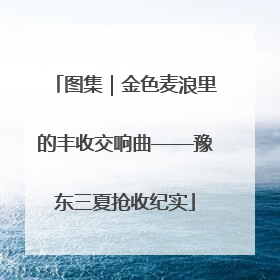 图集｜金色麦浪里的丰收交响曲——豫东三夏抢收纪实