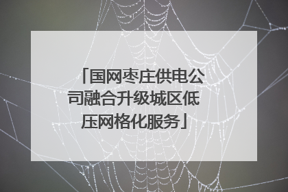 国网枣庄供电公司融合升级城区低压网格化服务