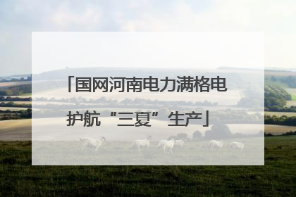 国网河南电力满格电护航“三夏”生产