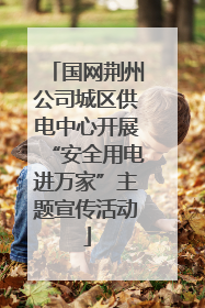 国网荆州公司城区供电中心开展“安全用电进万家”主题宣传活动