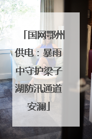 国网鄂州供电：暴雨中守护梁子湖防汛通道安澜