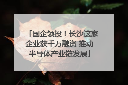国企领投！长沙这家企业获千万融资 推动半导体产业链发展