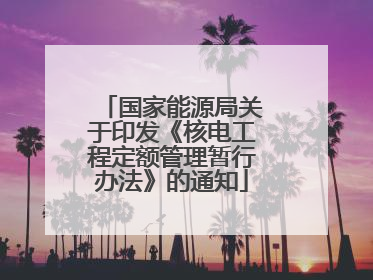 国家能源局关于印发《核电工程定额管理暂行办法》的通知