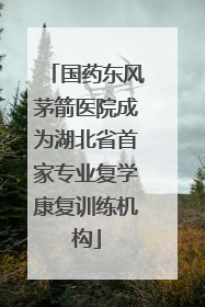 国药东风茅箭医院成为湖北省首家专业复学康复训练机构