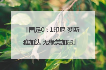 国足0∶1印尼 梦断雅加达 无缘美加墨