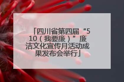 四川省第四届“510（我要廉）”廉洁文化宣传月活动成果发布会举行
