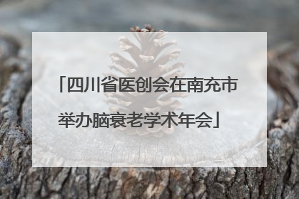 四川省医创会在南充市举办脑衰老学术年会