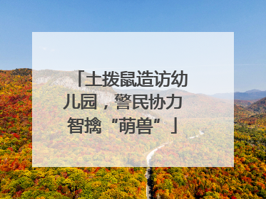 土拨鼠造访幼儿园，警民协力智擒“萌兽”