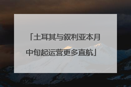 土耳其与叙利亚本月中旬起运营更多直航