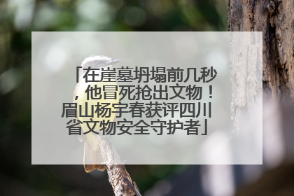 在崖墓坍塌前几秒，他冒死抢出文物！眉山杨宇春获评四川省文物安全守护者