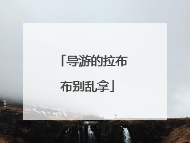 导游的拉布布别乱拿