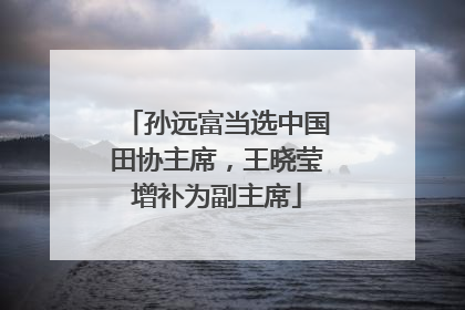 孙远富当选中国田协主席，王晓莹增补为副主席