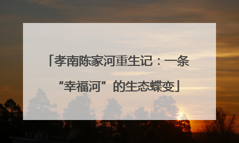 孝南陈家河重生记：一条“幸福河”的生态蝶变