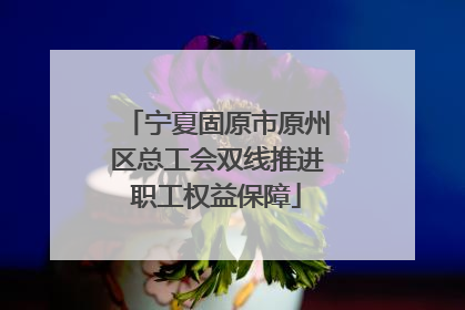 宁夏固原市原州区总工会双线推进职工权益保障