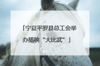 宁夏平罗县总工会举办插秧“大比武”
